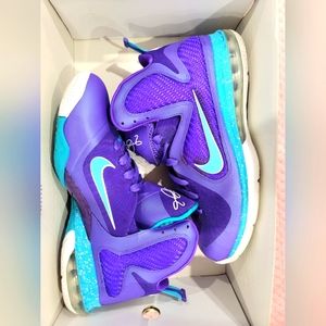 Nike LeBron 9 Summit Lake Hornets 2012